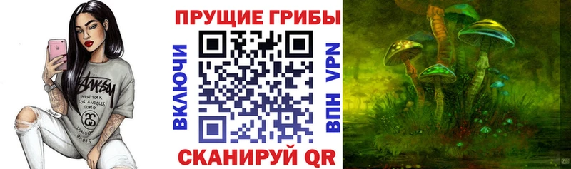 Псилоцибиновые грибы MAGIC MUSHROOMS  Кириллов 